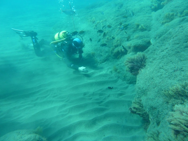 PADI scuba diving - gran canaria 4