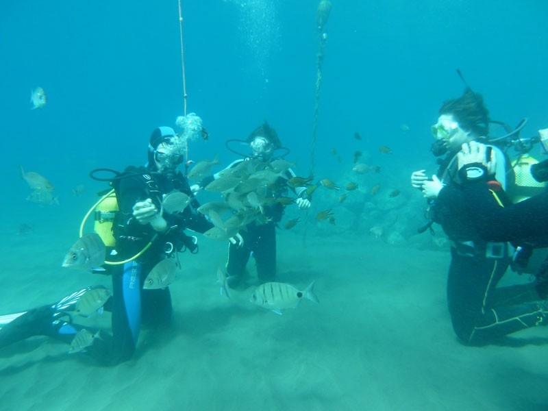PADI scuba diving - gran canaria 5