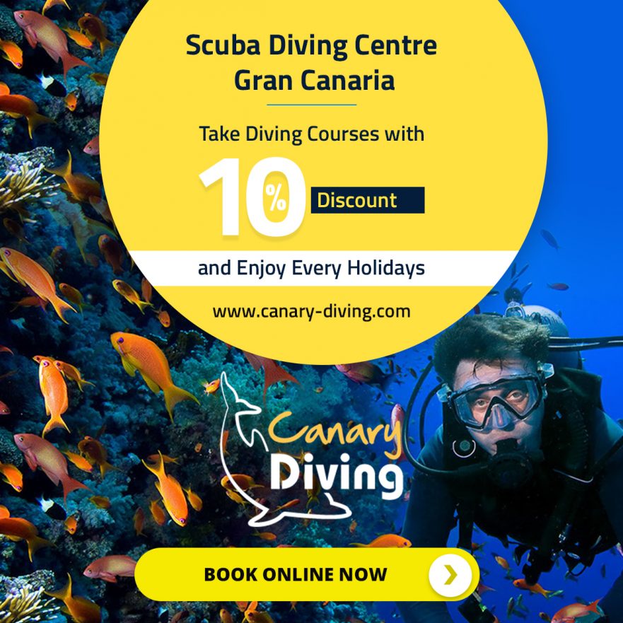 Diving In Gran Canaria With Canary Diving Adventures
