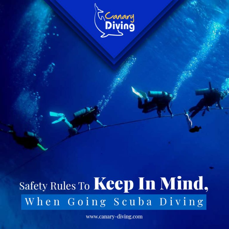 Safety Rules To Keep In Mind, When Going Scuba Diving Canary Diving Adventures
