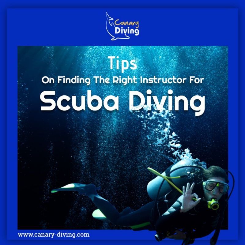 Tips On Finding The Right Instructor For Scuba Diving