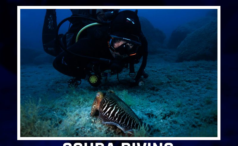 Scuba Diving In The Era Of COVID-19: Everything You Need To Know