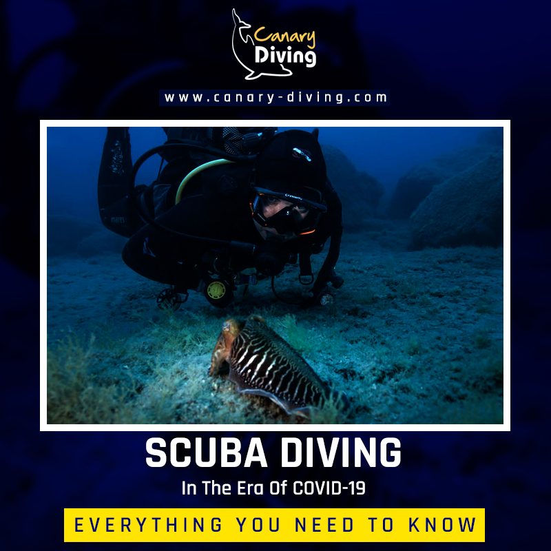 Scuba Diving In The Era Of COVID-19: Everything You Need To Know